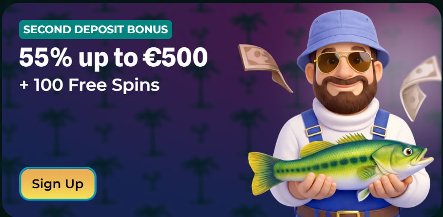 Bonusbedingungen Was ihr wirklich wissen müsst